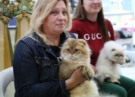 Міжнародна виставка котів у Львові