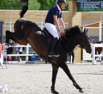 Соревнования по преодолению препятствий “EQUICOR КРАСНЫЕ МАКИ”
