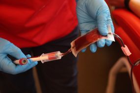 Blood donation at the Teplokrovni mobile hub