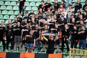 Fans