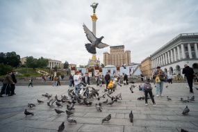 Голуби на Майдані Незалежності в Києві
