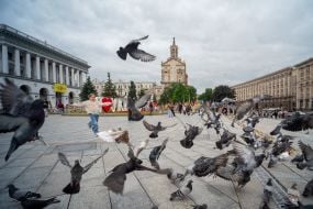 Голуби на Майдані Незалежності в Києві