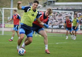 Open training session for the Ukrainian national football team