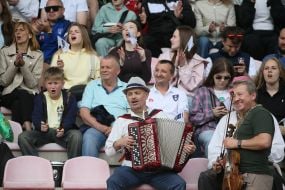 Fans in the stands