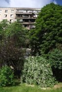Пошкоджений після масованої атаки росії фасад житлового будинку на вулиці Автозаводській в Києві