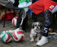 Відкритий матч з регбі на кріслах колісних
