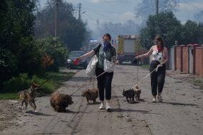 Locals evacuate dogs from dangerous area after nighttime Russian attack in Vyshneve