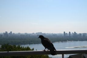 Panorama of the left bank of Kyiv