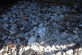 Разбитая винтажная и антикварная посуда после ракетного удара по антикварному рынку Барахолка на Почайной в Киеве