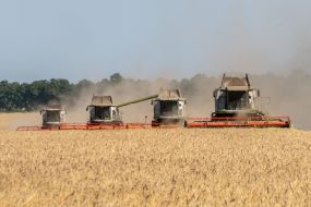 Gagarin Agrofirm Limited Liability Company completes grain harvest