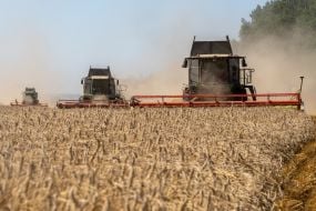 Gagarin Agrofirm Limited Liability Company completes grain harvest