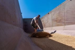 Gagarin Agrofirm Limited Liability Company completes grain harvest