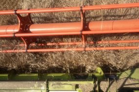 Gagarin Agrofirm Limited Liability Company completes grain harvest