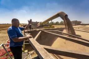 Gagarin Agrofirm Limited Liability Company completes grain harvest