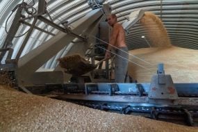 Gagarin Agrofirm Limited Liability Company completes grain harvest