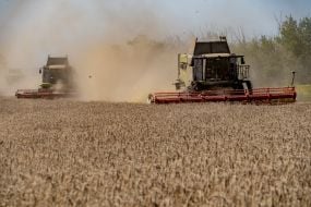 Gagarin Agrofirm Limited Liability Company completes grain harvest
