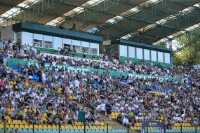 Fans