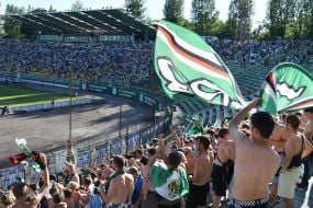 Fans