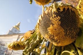 Day of Remembrance of Fallen Defenders of Ukraine
