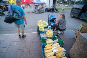 Стихійна торгівля кукурудзою