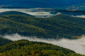 Ранковий туман серед Карпатських гір  в Закарпатській області