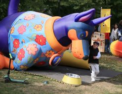 "Park Dyvotvaryn" in Lviv