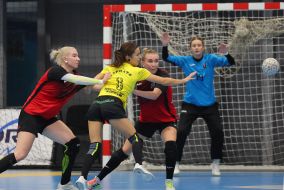 Handball. Ukrainian Championship. Women. HC Spartak-ShVSM (Kyiv) – HC Karpaty (Uzhhorod)