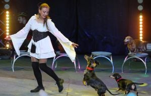 "Waterland – Circus on Water: Peter Pan and Captain Hook" circus show