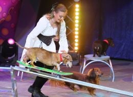 "Waterland – Circus on Water: Peter Pan and Captain Hook" circus show