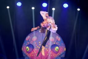 "Waterland – Circus on Water: Peter Pan and Captain Hook" circus show