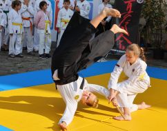 "Days of Japan" Festival