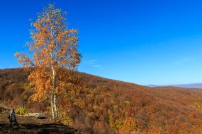 Осенние Карпаты