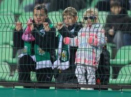Fans in the stands