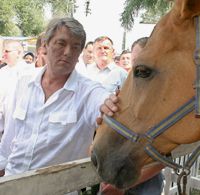 Где сейчас Ющенко? Версии Януковича и Геращенко отличаются