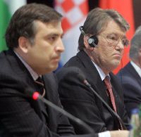 Саакашвили проявил деликатность в отношении Украины