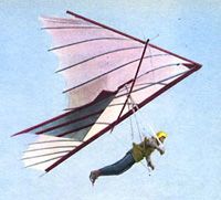 В Одесской области разбился дельтапланерист из Канады