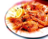 В Евпатории - массовое отравление морепродуктами