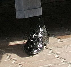 Янукович ослепил журналистов своими туфлями (фото)