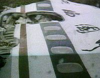 Росія сумнівається, що катастрофу Ту-154 спричинила гроза