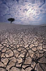 Експерти попереджають про небезпеку глобального потепління 

