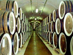 Росія перевірить українських постачальників вина