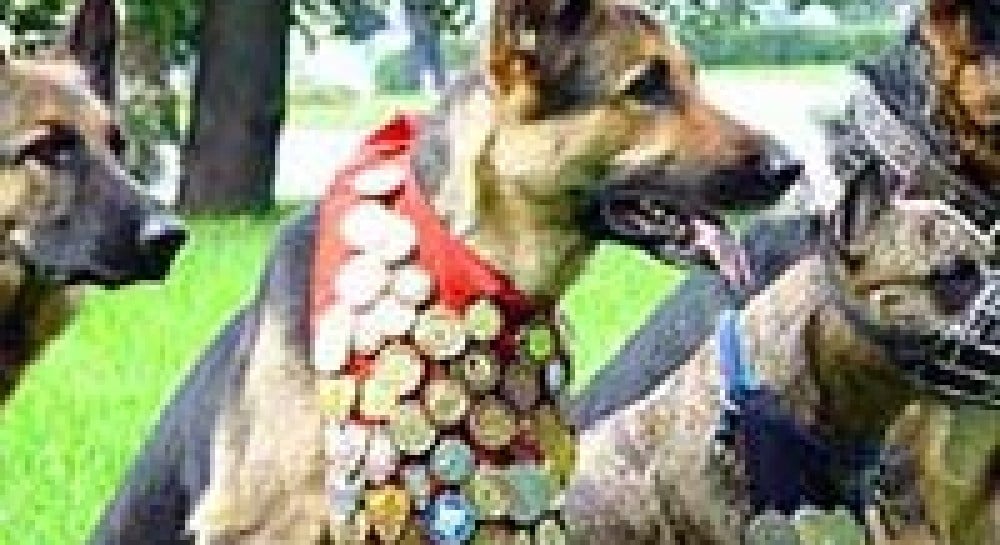 На службе третьему хозяину