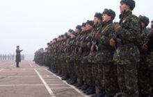 Грипп организовал солдатам досрочный дембель