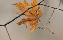 Как бороться с депрессией: шоколад, шоппинг, любовь...