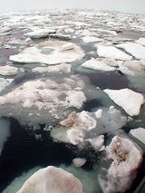 Трое детей погибли сегодня подо льдом
