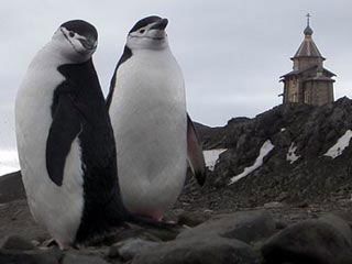 У Антарктиді чилієць повінчався з російською дівчиною (фото)