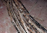 Невідомі вивели з ладу телерадіокомпанію на Сумщині