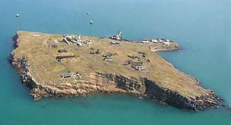 На острові Зміїний розводитимуть чорноморських устриць