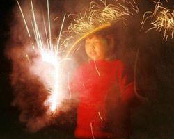 Китайцы встретили Год Огненной Свиньи (фото)