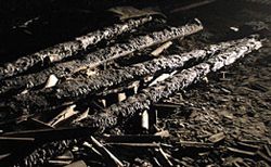 В Новосибирской области неизвестные сожгли дом священника